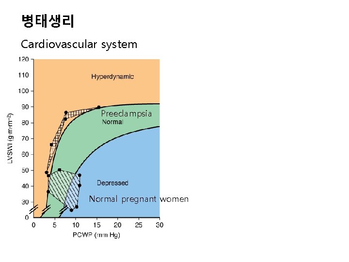 병태생리 Cardiovascular system Preeclampsia Normal pregnant women 