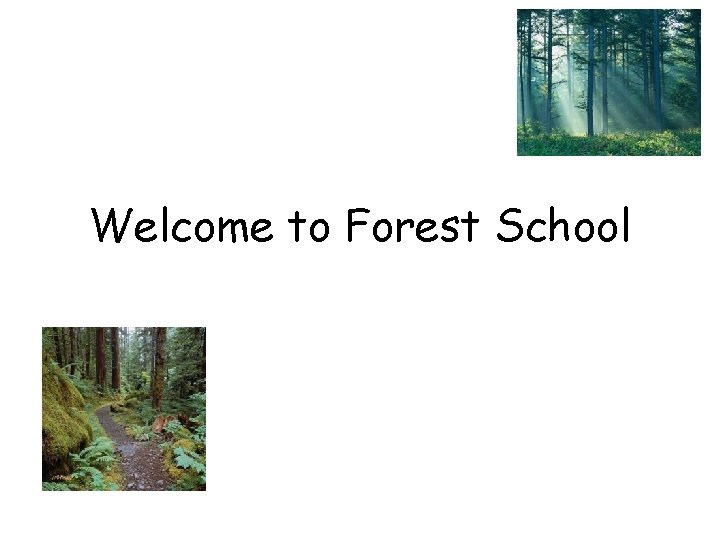 Welcome to Forest School 