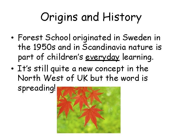 Origins and History • Forest School originated in Sweden in the 1950 s and