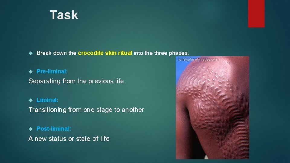 Task Break down the crocodile skin ritual into the three phases. Pre-liminal: Separating from