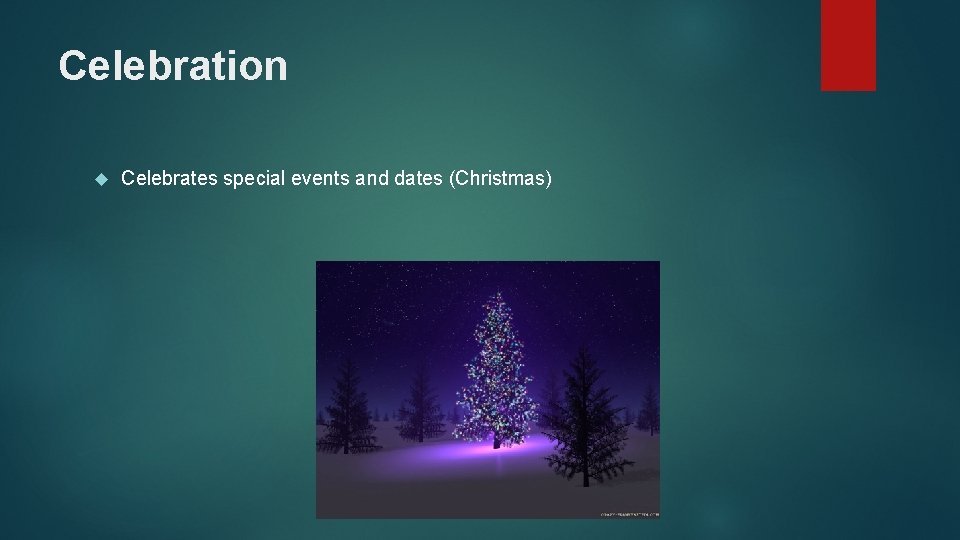 Celebration Celebrates special events and dates (Christmas) 
