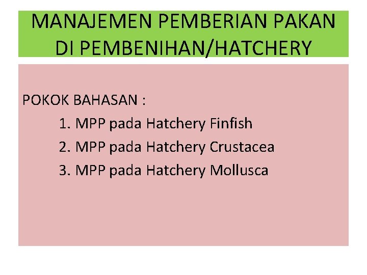 MANAJEMEN PEMBERIAN PAKAN DI PEMBENIHAN/HATCHERY POKOK BAHASAN : 1. MPP pada Hatchery Finfish 2.