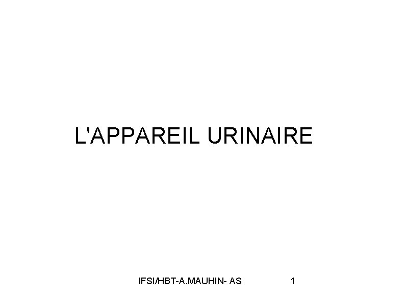 L'APPAREIL URINAIRE IFSI/HBT-A. MAUHIN- AS 1 