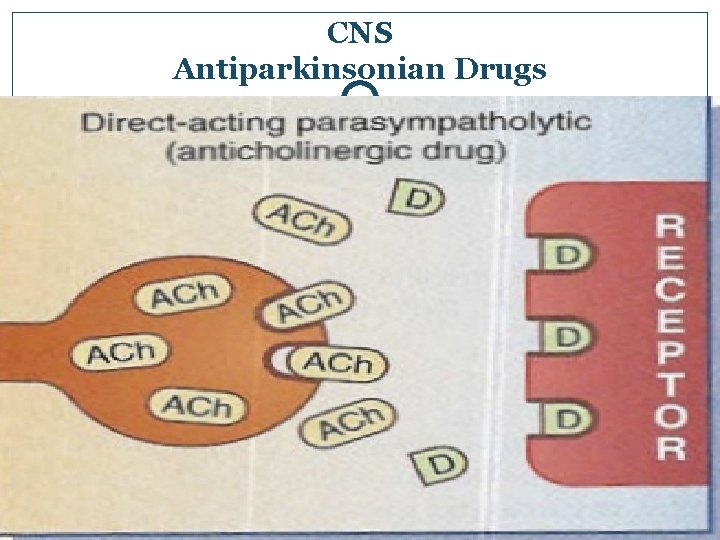 CNS Antiparkinsonian Drugs 