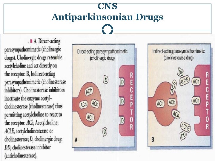 CNS Antiparkinsonian Drugs 