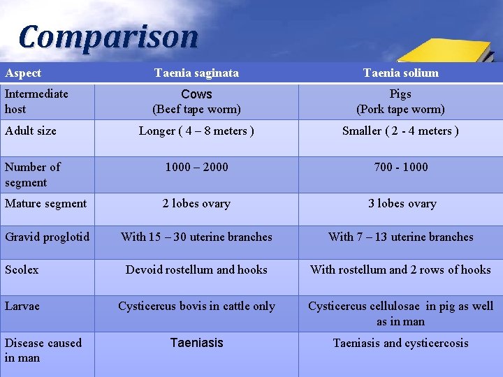 Comparison Aspect Taenia saginata Taenia solium Intermediate host Cows (Beef tape worm) Pigs (Pork