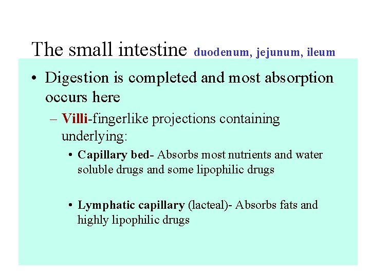 The small intestine duodenum, jejunum, ileum • Digestion is completed and most absorption occurs