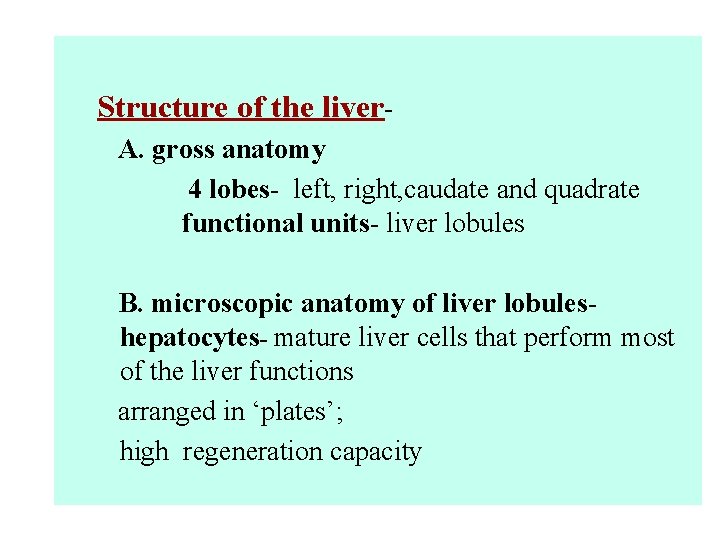 Structure of the liver. A. gross anatomy 4 lobes- left, right, caudate and quadrate