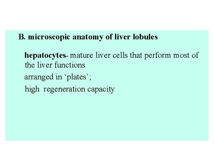 B. microscopic anatomy of liver lobules hepatocytes- mature liver cells that perform most of