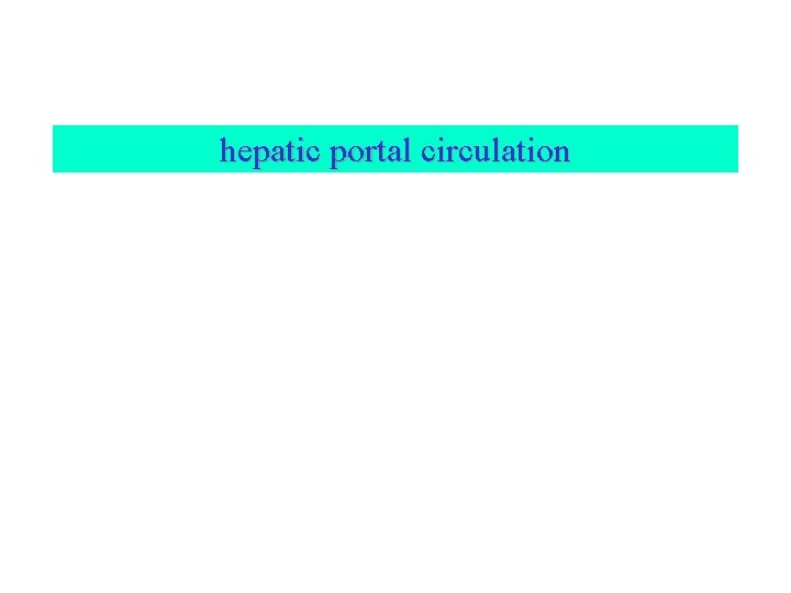hepatic portal circulation 