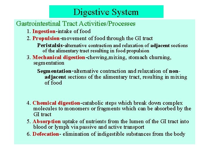 Digestive System Gastrointestinal Tract Activities/Processes 1. Ingestion-intake of food 2. Propulsion-movement of food through