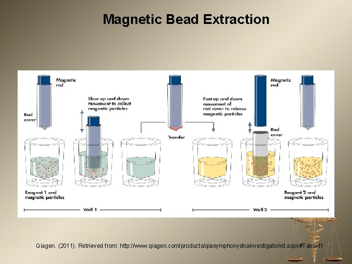 Magnetic Bead Extraction Qiagen. (2011). Retrieved from: http: //www. qiagen. com/products/qiasymphonydnainvestigatorkit. aspx#Tabs=t 1 