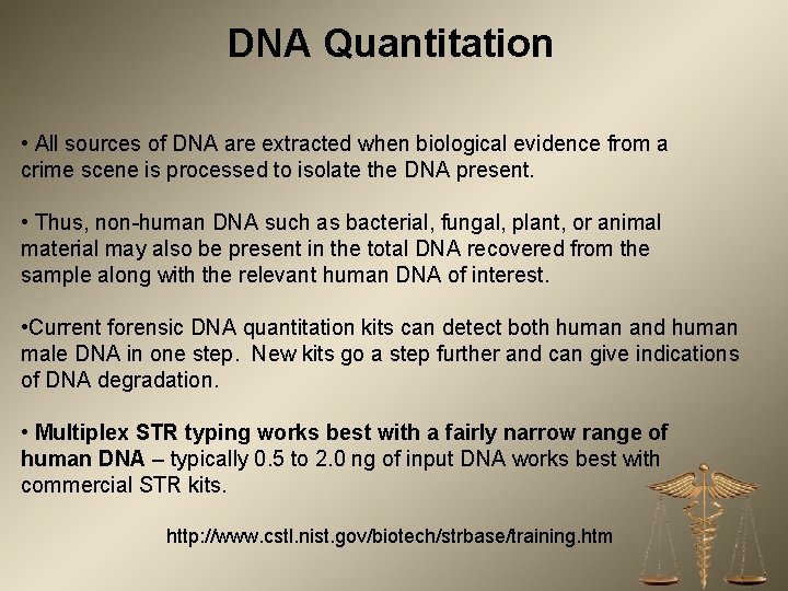 DNA Quantitation • All sources of DNA are extracted when biological evidence from a