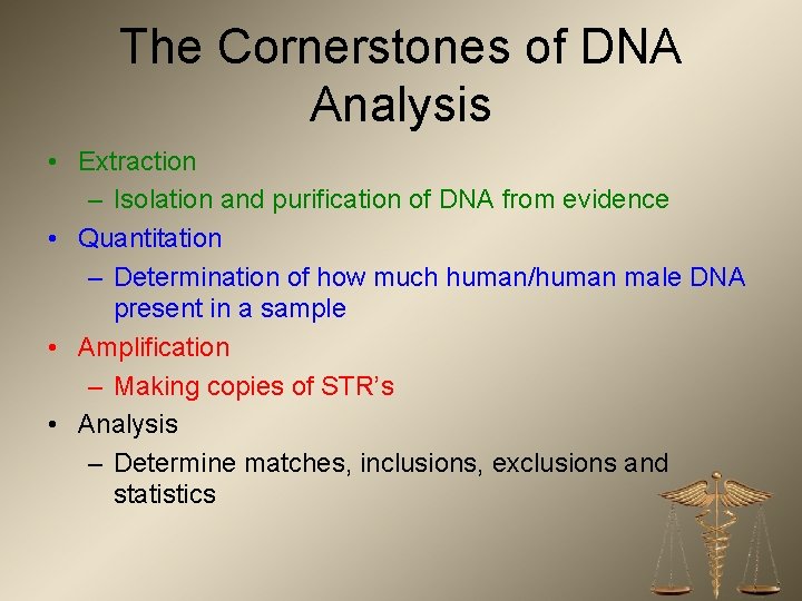 The Cornerstones of DNA Analysis • Extraction – Isolation and purification of DNA from