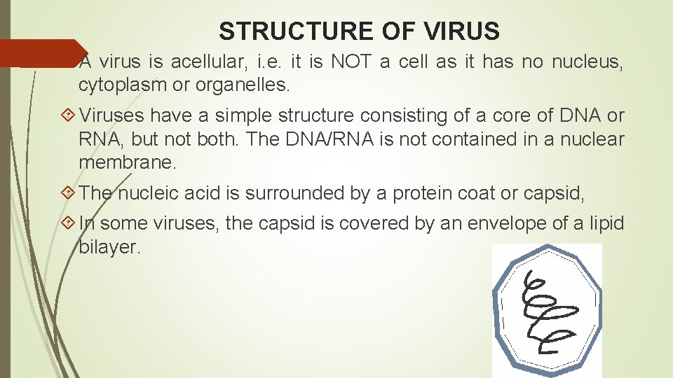 STRUCTURE OF VIRUS A virus is acellular, i. e. it is NOT a cell