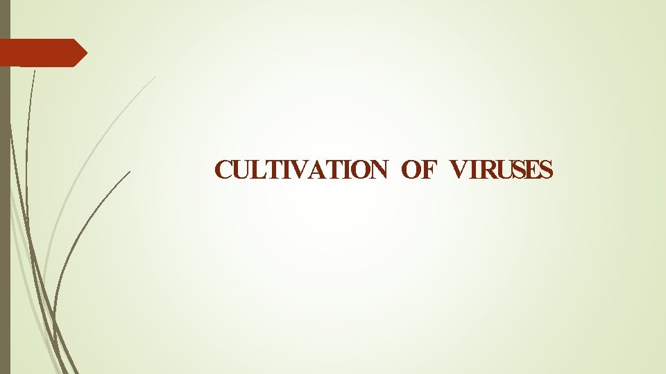 CULTIVATION OF VIRUSES 