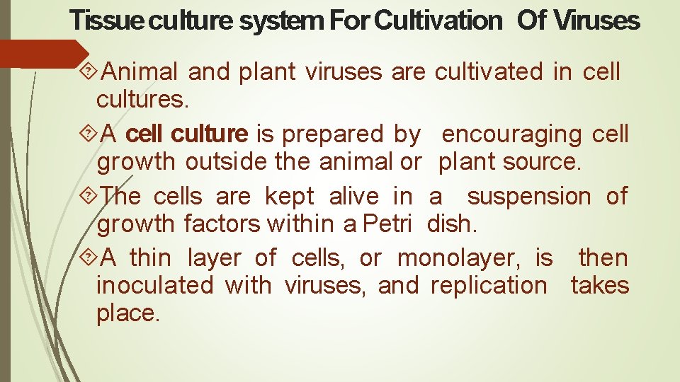 Tissue culture system For Cultivation Of Viruses Animal and plant viruses are cultivated in