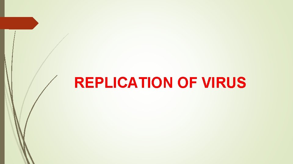 REPLICATION OF VIRUS 