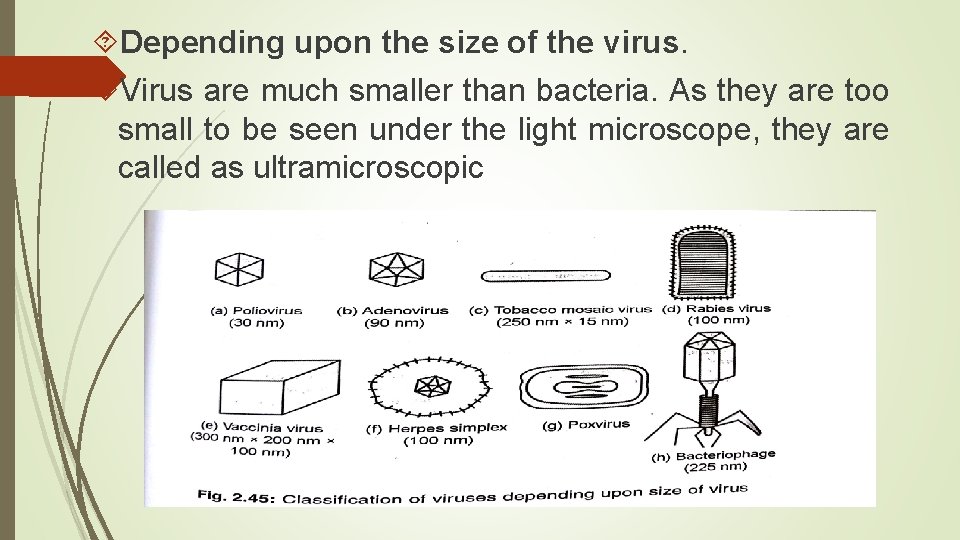  Depending upon the size of the virus. Virus are much smaller than bacteria.