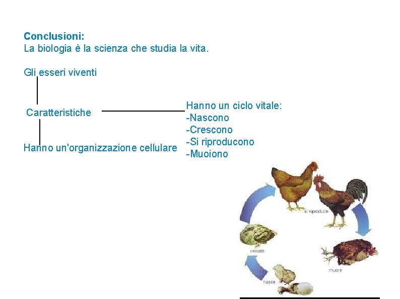 Conclusioni: La biologia è la scienza che studia la vita. Gli esseri viventi Hanno