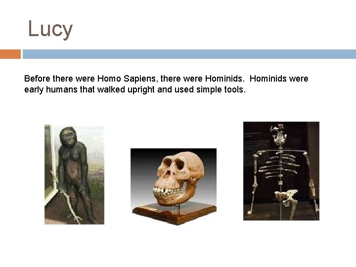 Lucy Before there were Homo Sapiens, there were Hominids were early humans that walked