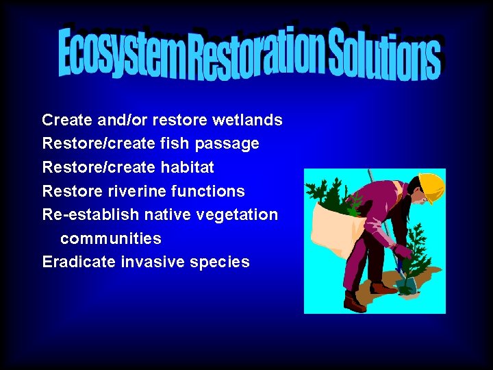 Create and/or restore wetlands Restore/create fish passage Restore/create habitat Restore riverine functions Re-establish native