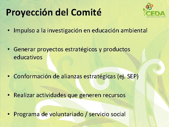 Proyección del Comité • Impulso a la investigación en educación ambiental • Generar proyectos