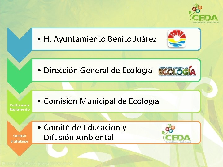  • H. Ayuntamiento Benito Juárez • Dirección General de Ecología Conforme a Reglamento