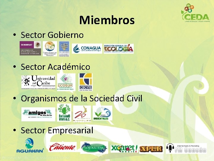 Miembros • Sector Gobierno • Sector Académico • Organismos de la Sociedad Civil •