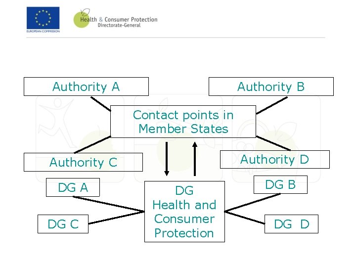 Authority A Authority B Contact points in Member States Authority D Authority C DG