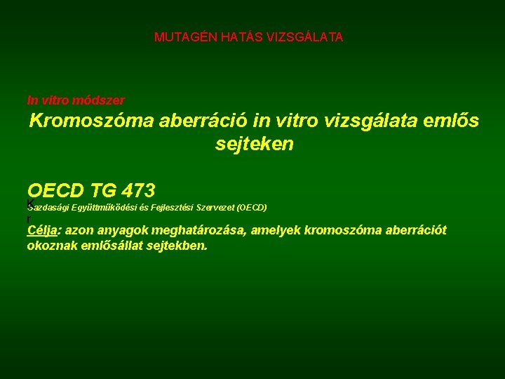 MUTAGÉN HATÁS VIZSGÁLATA In vitro módszer Kromoszóma aberráció in vitro vizsgálata emlős sejteken OECD