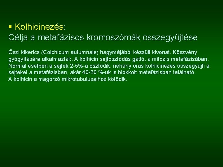 § Kolhicinezés: Célja a metafázisos kromoszómák összegyűjtése Őszi kikerics (Colchicum autumnale) hagymájából készült kivonat.
