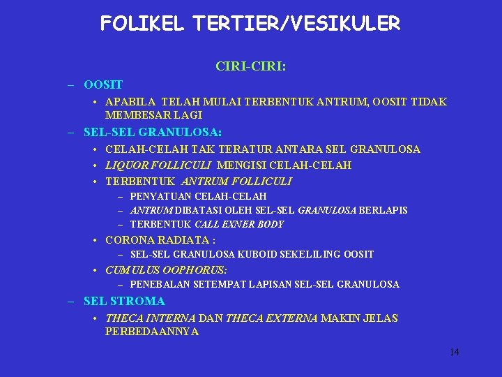 FOLIKEL TERTIER/VESIKULER CIRI-CIRI: – OOSIT • APABILA TELAH MULAI TERBENTUK ANTRUM, OOSIT TIDAK MEMBESAR