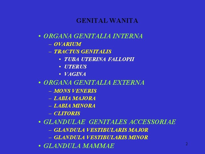 GENITAL WANITA • ORGANA GENITALIA INTERNA – OVARIUM – TRACTUS GENITALIS • TUBA UTERINA