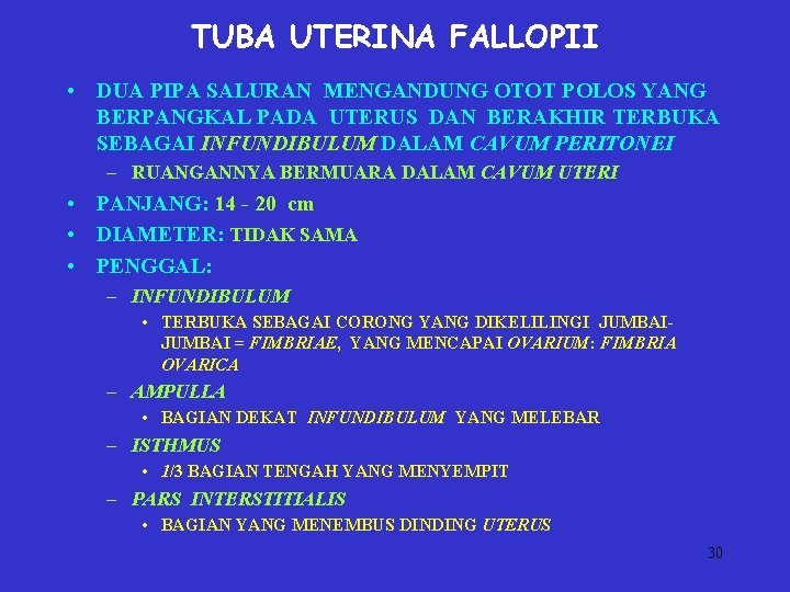 TUBA UTERINA FALLOPII • DUA PIPA SALURAN MENGANDUNG OTOT POLOS YANG BERPANGKAL PADA UTERUS