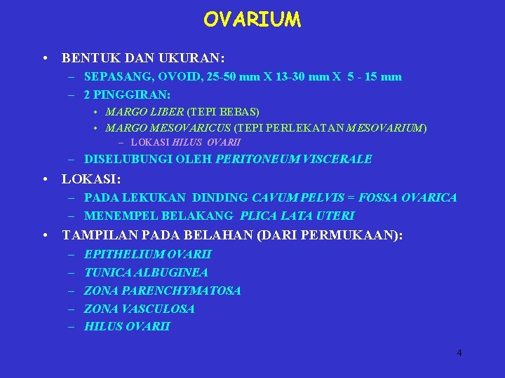 OVARIUM • BENTUK DAN UKURAN: – SEPASANG, OVOID, 25 -50 mm X 13 -30