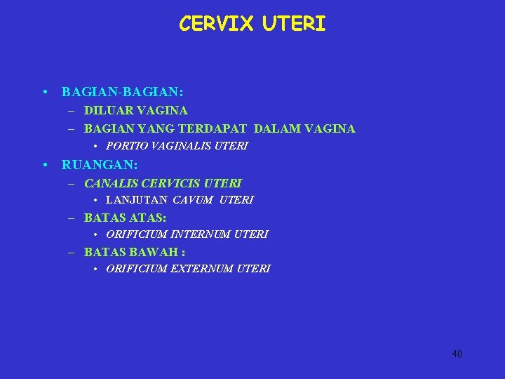 CERVIX UTERI • BAGIAN-BAGIAN: – DILUAR VAGINA – BAGIAN YANG TERDAPAT DALAM VAGINA •