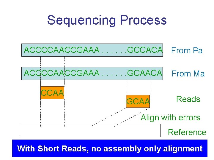 Sequencing Process ACCCCAACCGAAA. . . GCCACA From Pa ACCCCAACCGAAA. . . GCAACA From Ma