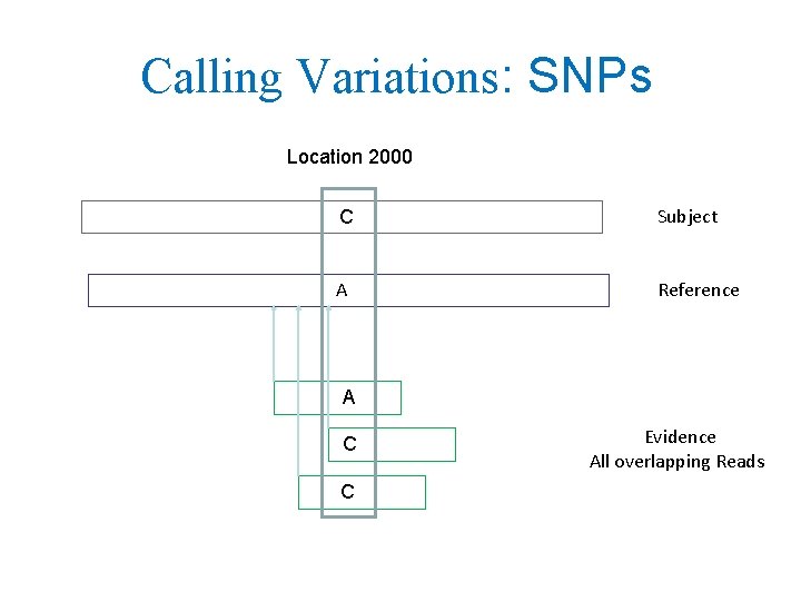 Calling Variations: SNPs Location 2000 C Subject A Reference A C C Evidence All