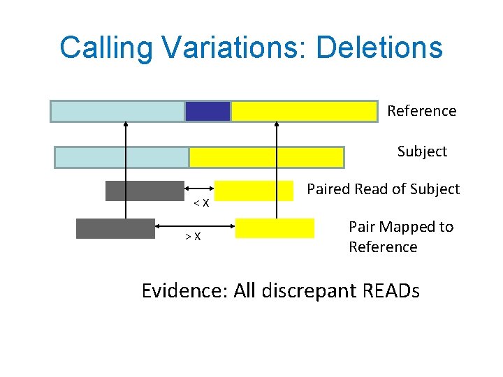 Calling Variations: Deletions Reference Subject <X >X Paired Read of Subject Pair Mapped to