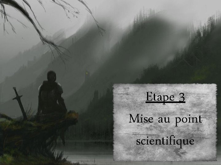 Etape 3 Mise au point scientifique 