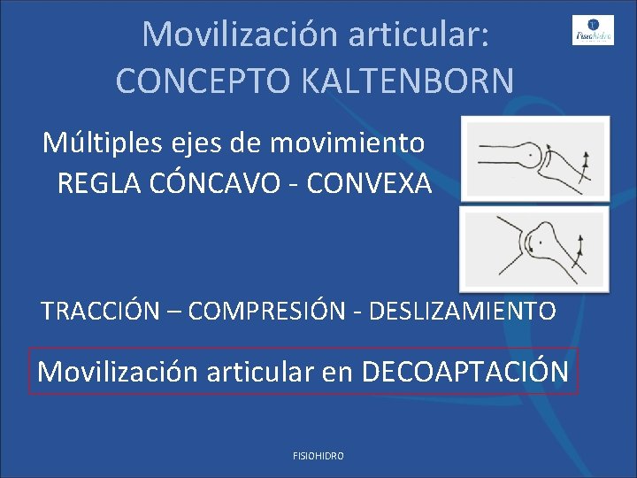 Movilización articular: CONCEPTO KALTENBORN Múltiples ejes de movimiento REGLA CÓNCAVO - CONVEXA TRACCIÓN –