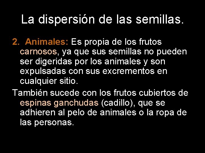 La dispersión de las semillas. 2. Animales: Es propia de los frutos carnosos, ya La dispersión de las semillas. 2. Animales: Es propia de los frutos carnosos, ya