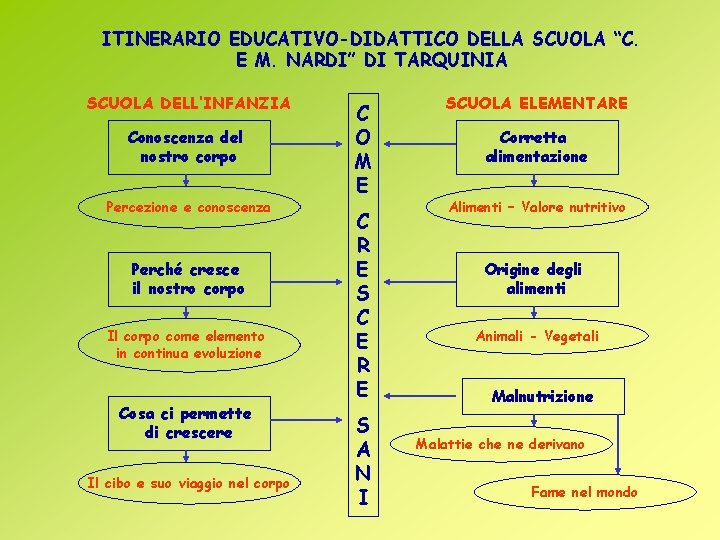 ITINERARIO EDUCATIVO-DIDATTICO DELLA SCUOLA “C. E M. NARDI” DI TARQUINIA SCUOLA DELL’INFANZIA Conoscenza del