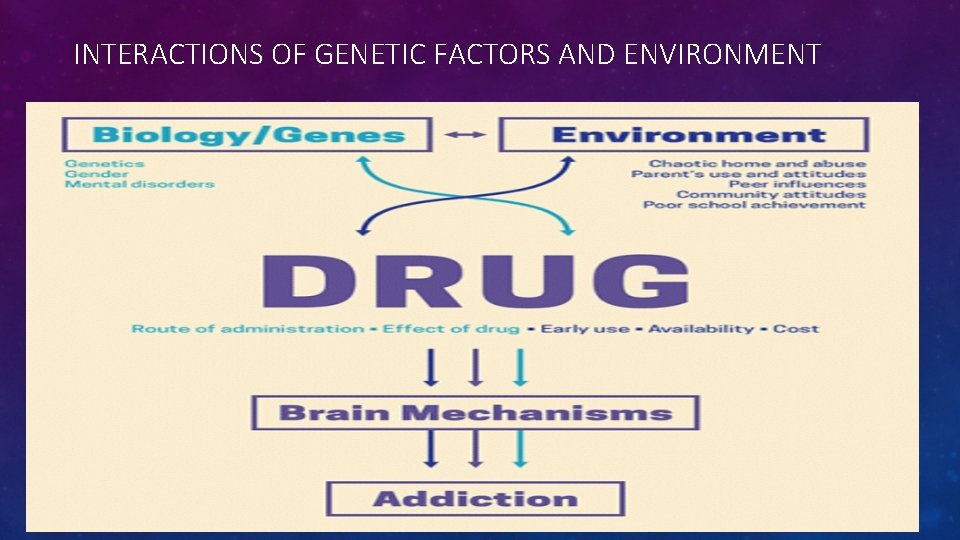 INTERACTIONS OF GENETIC FACTORS AND ENVIRONMENT 