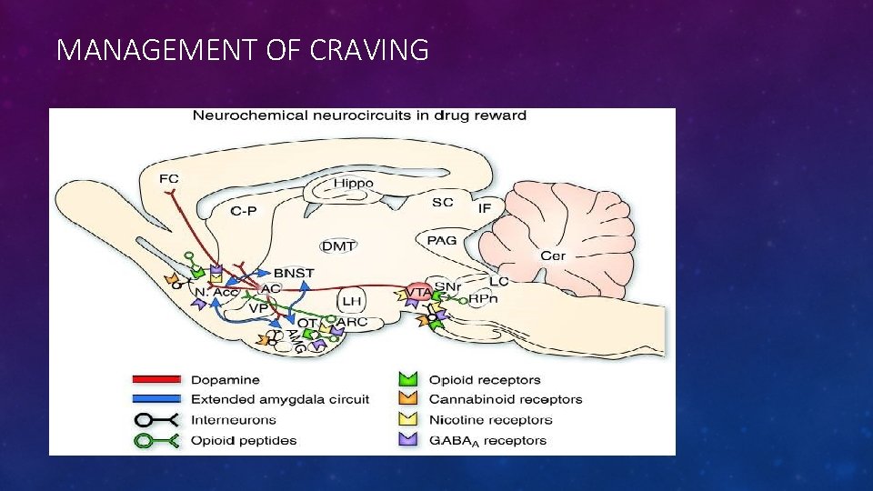 MANAGEMENT OF CRAVING 