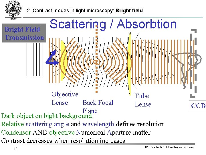 2. Contrast modes in light microscopy: Bright field Bright Field Transmission Scattering / Absorbtion