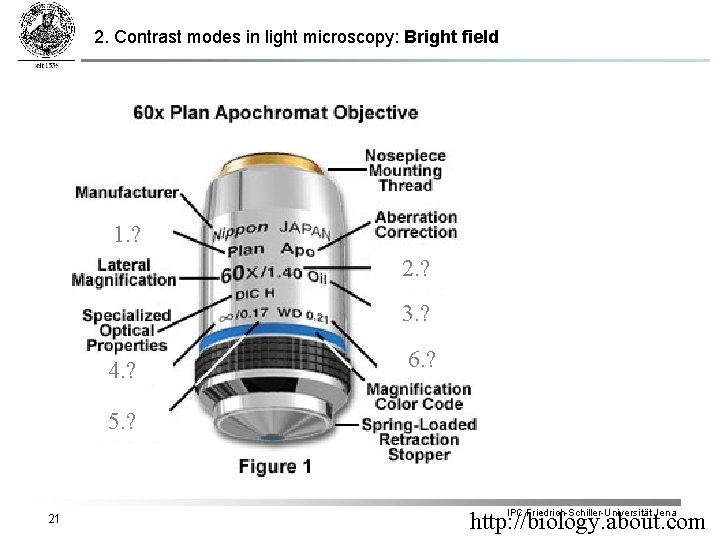2. Contrast modes in light microscopy: Bright field 1. ? 2. ? 3. ?