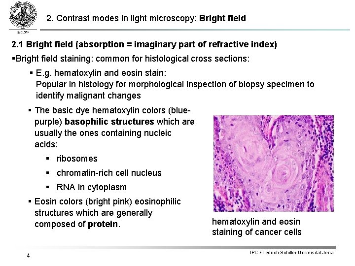 2. Contrast modes in light microscopy: Bright field 2. 1 Bright field (absorption =