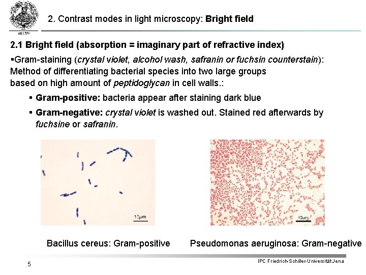 2. Contrast modes in light microscopy: Bright field 2. 1 Bright field (absorption =